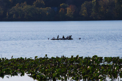 ir-DSC_0165.jpg