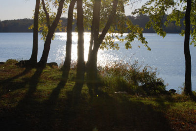 ir-DSC_0167.jpg