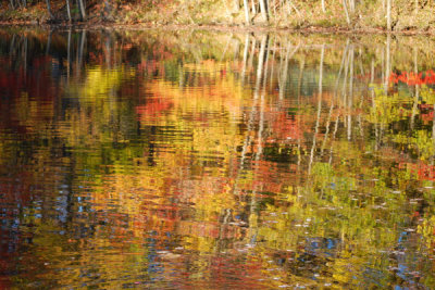 ir-DSC_0175.jpg