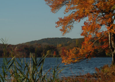 ir-DSC_0054_5x7L.jpg