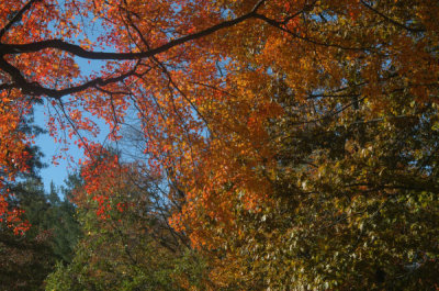 ir-081030_0018.jpg