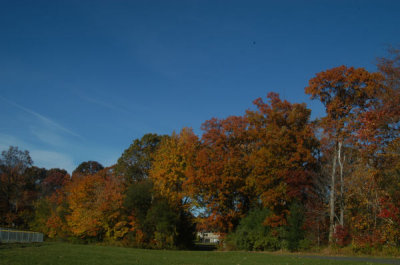 ir-081030_0021.jpg