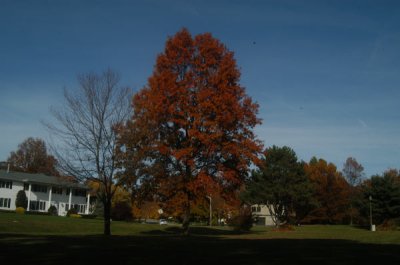 ir-081102_0020.jpg
