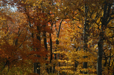 ir-081102_0021.jpg