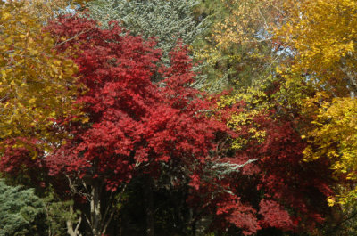 ir-081102_0030.jpg