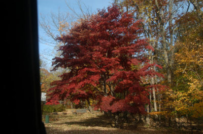 ir-081102_0039.jpg