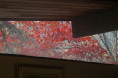 ir-081103_0019.jpg