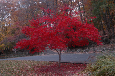 ir-081104_0010.jpg