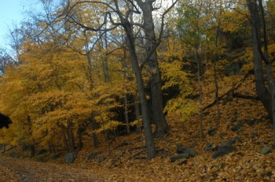 ir-081109_47.jpg