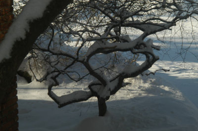 ir-081221_0075.jpg