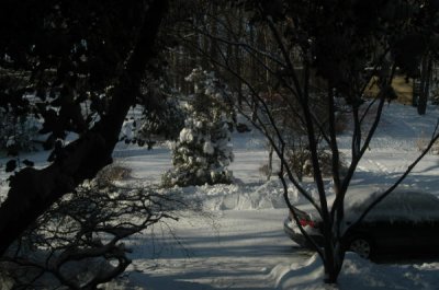ir-081221_0077.jpg