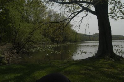 ir-090429_0033.jpg