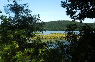 ir-20090806_0060.jpg