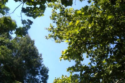 ir-20090806_0063.jpg