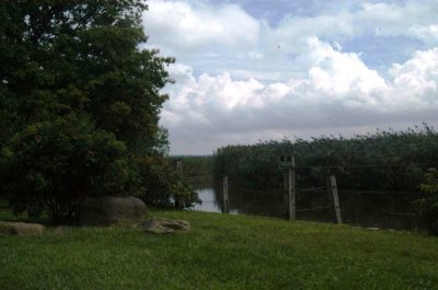 ir-090823_14-08_0019.jpg