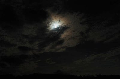 ir-090923_16-18_0076.jpg