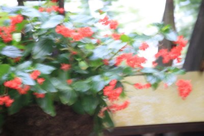 ir-100804_13-28_7017.jpg