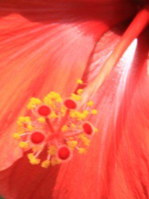 ir-100817_14-22_7114P.jpg