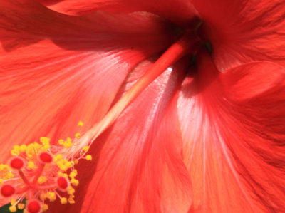 ir-100817_14-25_7119L.jpg