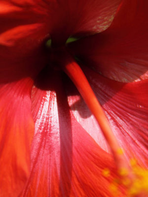 ir-100817_14-27_7124P.jpg