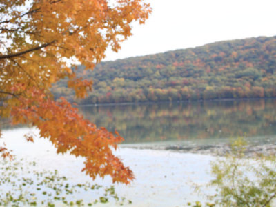 ir-101024_11-30_8907L.jpg