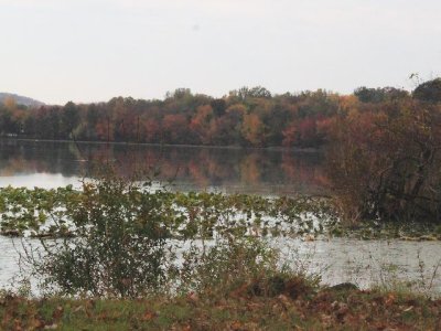 Tike/Bike at Rockland Lake with Andrew