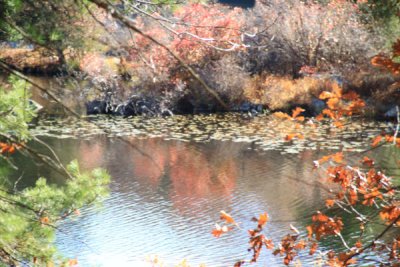 ir-101102_10-56_8942.jpg