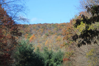 ir-101102_11-23_8949.jpg