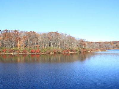 ir-101102_10-35_8928L.jpg