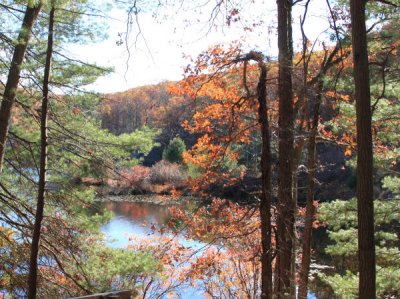 ir-101102_10-56_8941L.jpg
