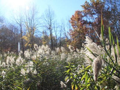 ir-101102_12-02_8964L.jpg