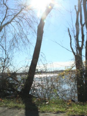ir-101124_11-53_9527P.jpg