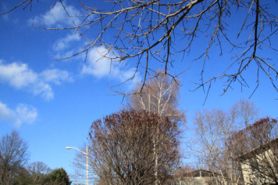 ir-101209_14-05_0093.jpg