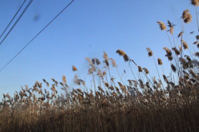 ir-110104_15-02_0462.jpg