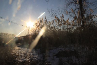 ir-110104_15-26_0477.jpg
