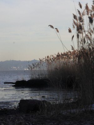 ir-110104_15-03_0464P.jpg