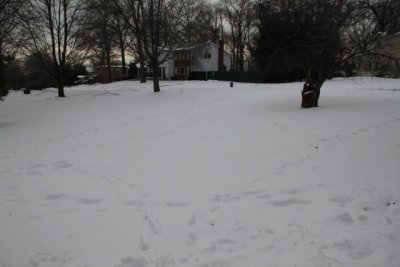 ir-110111_12-06_0519.jpg