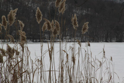 ir-110111_13-19_0524.jpg