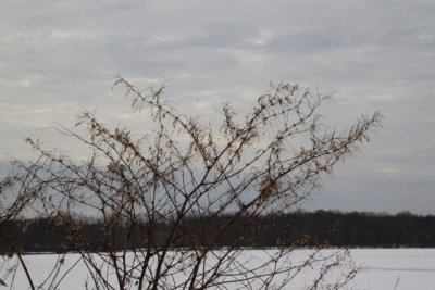 ir-110111_13-31_0533.jpg
