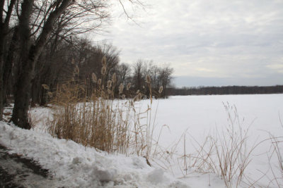ir-110111_13-31_0534.jpg