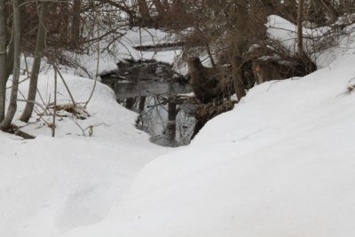 ir-110111_13-36_0537.jpg
