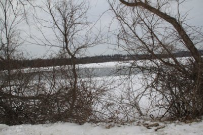 ir-110111_13-38_0539.jpg