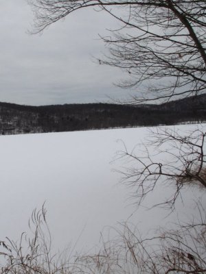 ir-110111_13-50_0544P.jpg