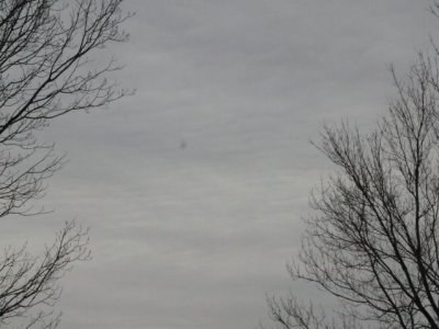 ir-110111_14-24_0555L.jpg
