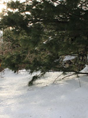 ir-110120_14-46_0605P.jpg
