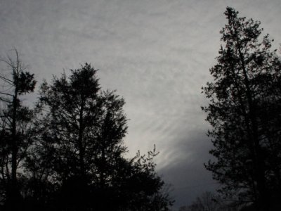 ir-110120_15-09_0629L.jpg