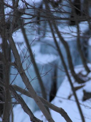 ir-110120_16-48_0672P.jpg
