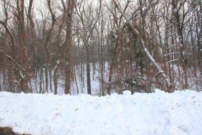 ir-110127_15-21_0710.jpg