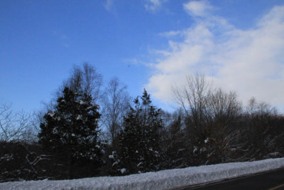 ir-110127_15-23_0711.jpg