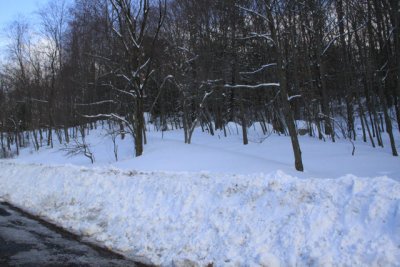 ir-110127_15-26_0712.jpg